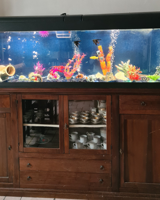 Acquario molto grande