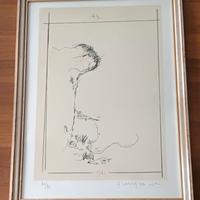 Quadri, litografie