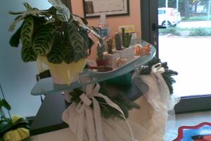 Attività di Estetica