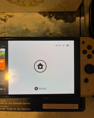 Nintendo switch zelda