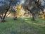 Immagine 9