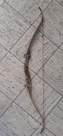 ARCO RICURVO HOYT DORADO RH 60" 55#lbs
