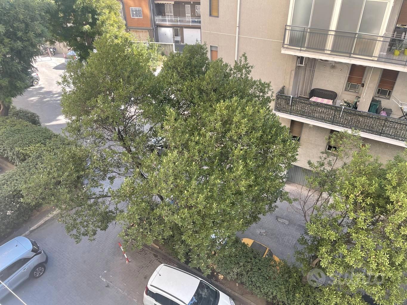 Appartamento – Catania, Borgo, Borgo-Sanzio - Altro