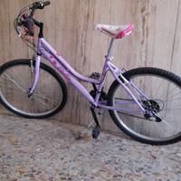 Bici