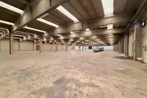 CAPANNONE A TORRAZZA COSTE