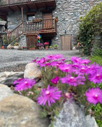 Casa vacanza Morgex PROMO GIUGNO