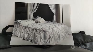 TRAPUNTA 2P con volant e rouches