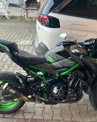 Z900 2024