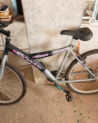 Mountain bike