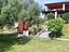 Immagine 6