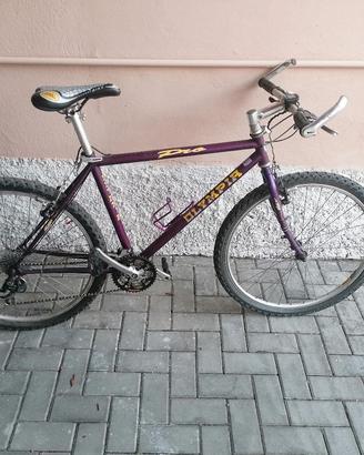 bicicletta olimpia