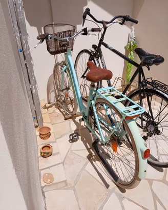 Bicicletta