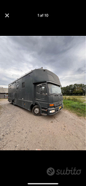 Mercedes Atego per 5 cavalli