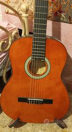 chitarra sheffield 