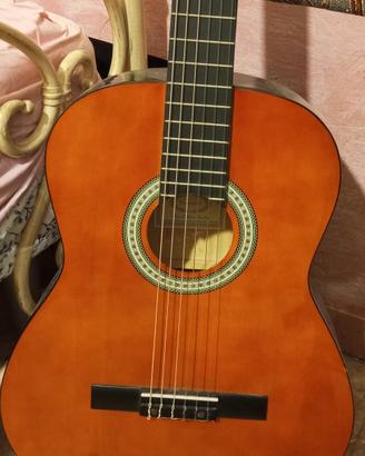 chitarra sheffield 