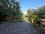 Immagine 28