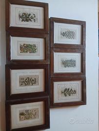 quadri mis 20x30  tot.7 pezzi