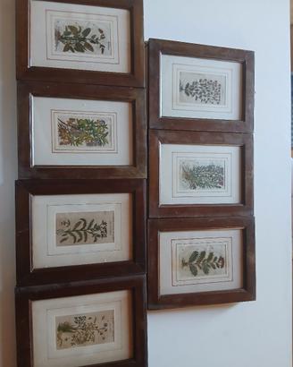 quadri mis 20x30  tot.7 pezzi