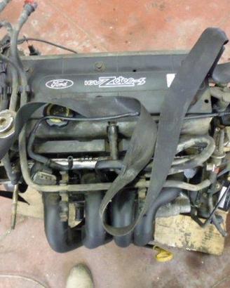 PBL021 Motore Ford Focus 1.6 B 1998/2004 FYDA
