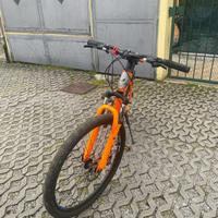 Bicicletta ragazzo 12-14 anni
