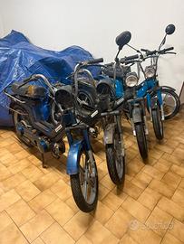 5 piaggio si 50cc di cui 1 con libretto