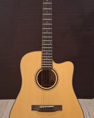 Chitarra acustica amplificata + custodia