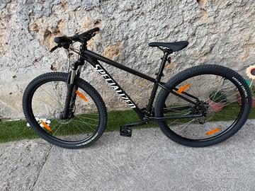 mtb 29 specialaized