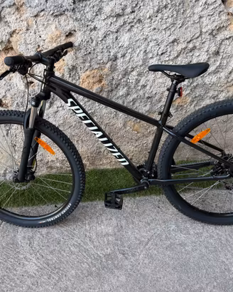 mtb 29 specialaized
