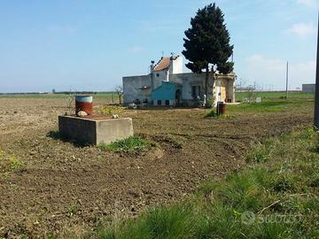 Terreno agricolo con fabbricato