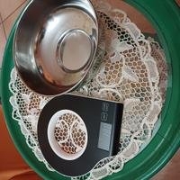 bilancia elettronica