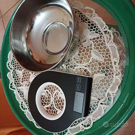 bilancia elettronica