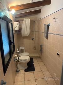 Affitta camera e altro