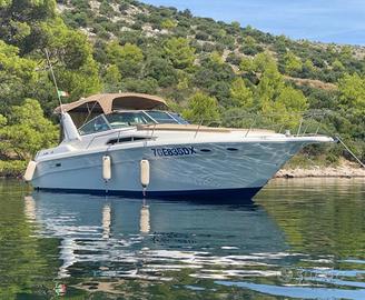 Sea Ray linea d'asse motori iniezione