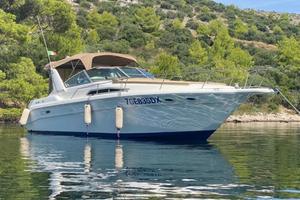 Sea Ray linea d'asse motori iniezione