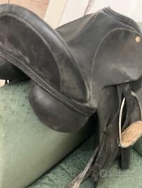 Sella dressage