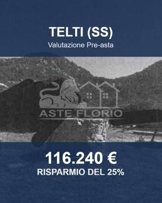 Immobile in asta di 55800 m² a Telti