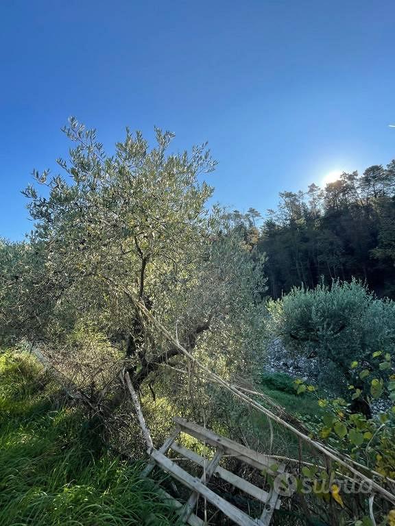 Terreno di 5600 m² a Montemurlo - Vista 5