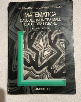 Matematica. Calcolo infinitesimale e algebra.