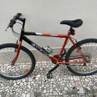 MTB Esperia