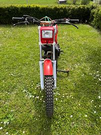 Beta trial tTR33
