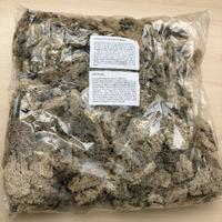 Muschio lichene norvegese stabilizzato