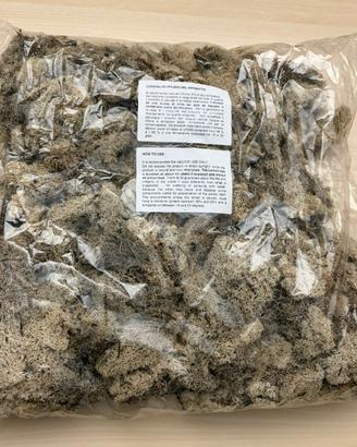 Muschio lichene norvegese stabilizzato