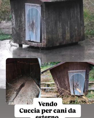 cuccia cani grandi 