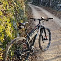 Bici mtb