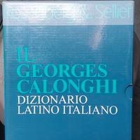 libro Dizionario Latino Italiano Rosenberg 