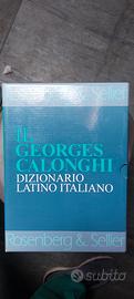 libro Dizionario Latino Italiano Rosenberg 