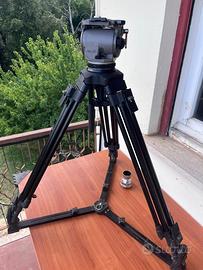 Cavalletto Cartoni Focus HD / T628