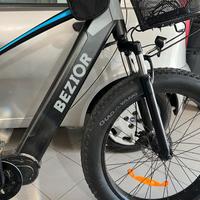 Bici elettrica
