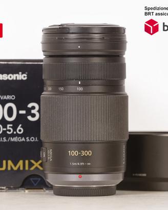 Panasonic Lumix G Vario 100-300 F4-5.6 Mega O.I.S.