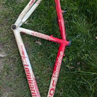 telaio bici adulto ragazzo lombardo alluminio 